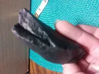 20171108_161133_Burst01.webp