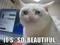 beautiful.webp