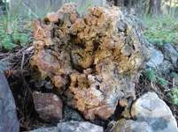 DSCF5686.webp