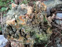 DSCF5541 (2).webp
