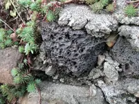 DSCF5708.webp