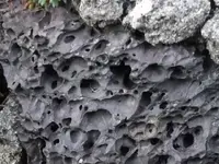 DSCF5783.webp