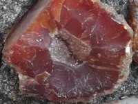 DSCF5788.webp