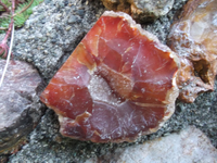 DSCF5695.webp