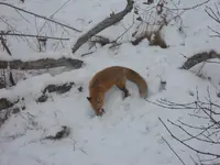 DSCN3183.webp