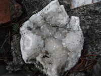 DSCF5698.webp