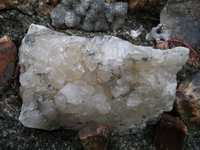 DSCF5544.webp