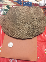 ImageUploadedByTreasureNet.com1514064208.105968.webp