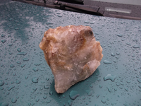 DSCF5445 (1).webp