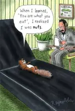 squirrel from the woods.webp