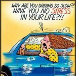 why-are-you-driving-so-slow-have-you-no-stress-in-your-life-funny-comics.jpg