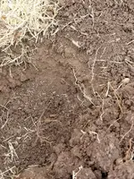 20180215_100318.webp