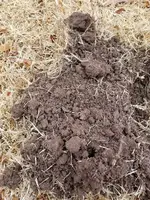 20180215_111009.webp