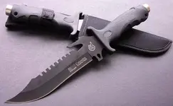 bo18.webp