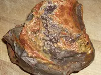 DSCF5245.webp