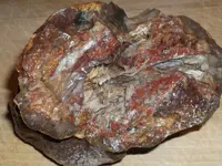 DSCF5247.webp