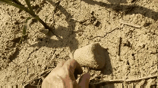 GIF-180101_163946.gif