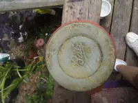South Carolina Dot Lid.webp