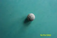 another view of ball.webp another view of ball.webp
