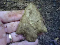 pickwick woods1.webp