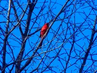 DSCN1424.webp