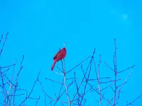 DSCN1426.webp