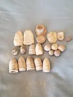 20180101_111039.webp