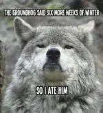 ate the groundhog.webp