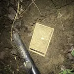 C2546667-D867-4AA6-9ECF-C2731ABB88F1.webp