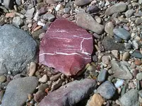 DSCF0016.webp