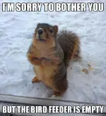 8548F144-D843-41F7-8811-F72973514A3F.webp