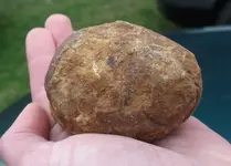 DSCF6035.webp