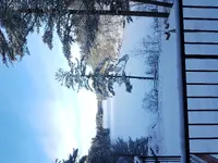 20171224_094906.webp
