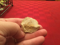 ImageUploadedByTreasureNet.com1515888828.162900.webp