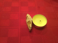 ImageUploadedByTreasureNet.com1515888988.563492.webp