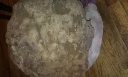 20180127_070456.webp