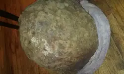 20180127_065915.webp