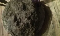 20180127_070502.webp