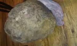 20180127_070052.webp