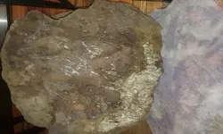 15170635166811948171559.webp