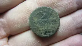 eagle a button 002.webp