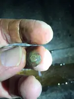 bullet top.webp