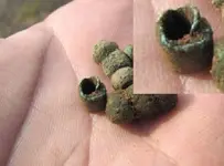 Copper Bead.webp