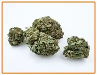 drugs_marijuana_hashish.webp