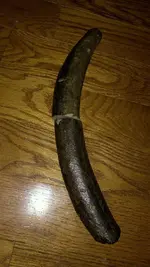 fossil 010.webp