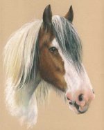 horse-pastel-portrait-drawing-1a.jpg