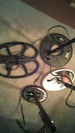 IMAG5173.webp