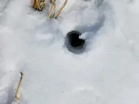 meteorite_hole.webp