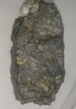 IMAG1169_2.webp