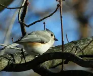 DSCN7071.webp